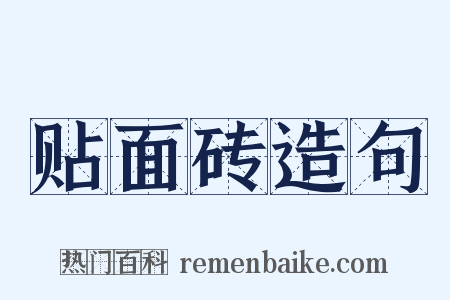 贴面砖造句是什么意思的图片